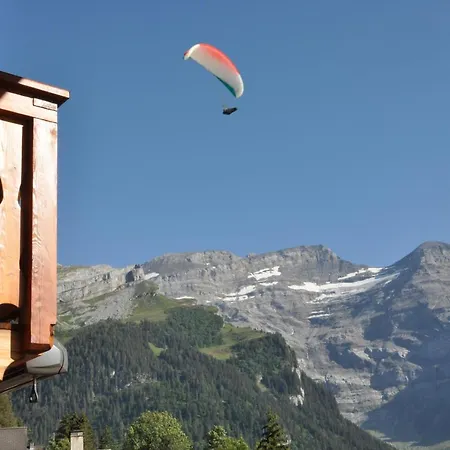 Edelweiss Stunning Glacier View