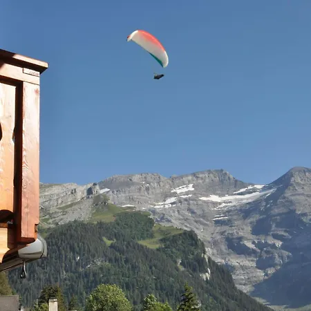 Edelweiss Stunning Glacier View Les Diablerets