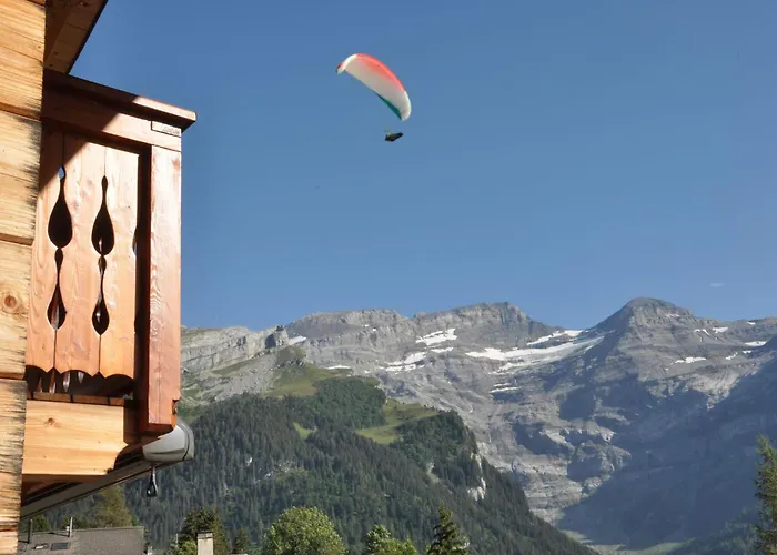 Edelweiss Stunning Glacier View Les Diablerets