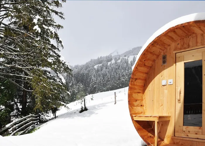 Edelweiss Stunning Glacier View *